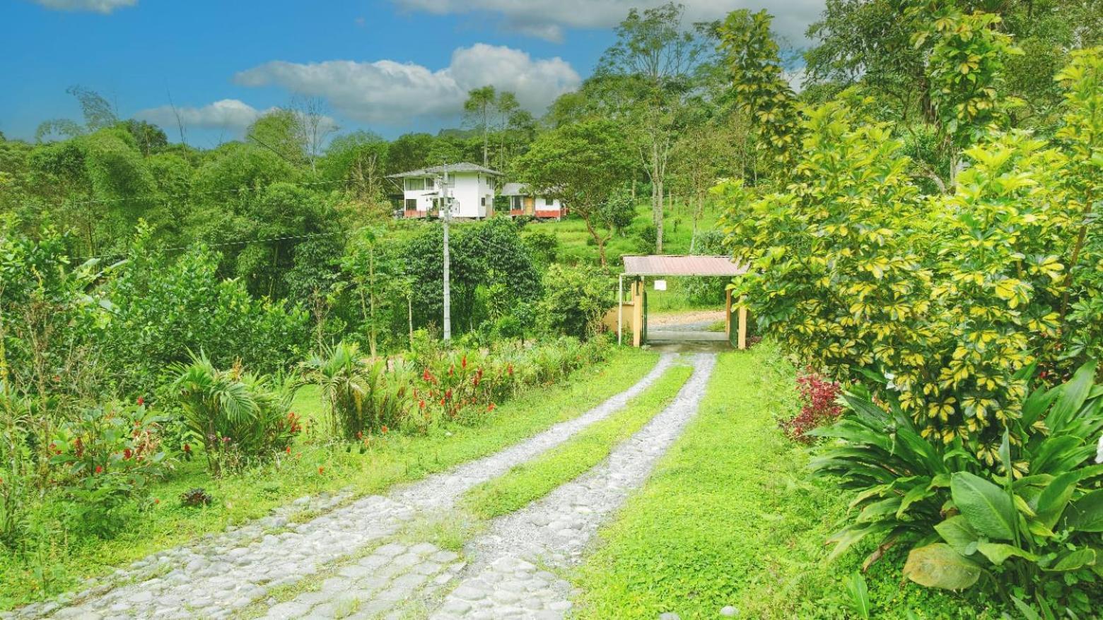 The Temple I, Mindo Hotel Exterior photo